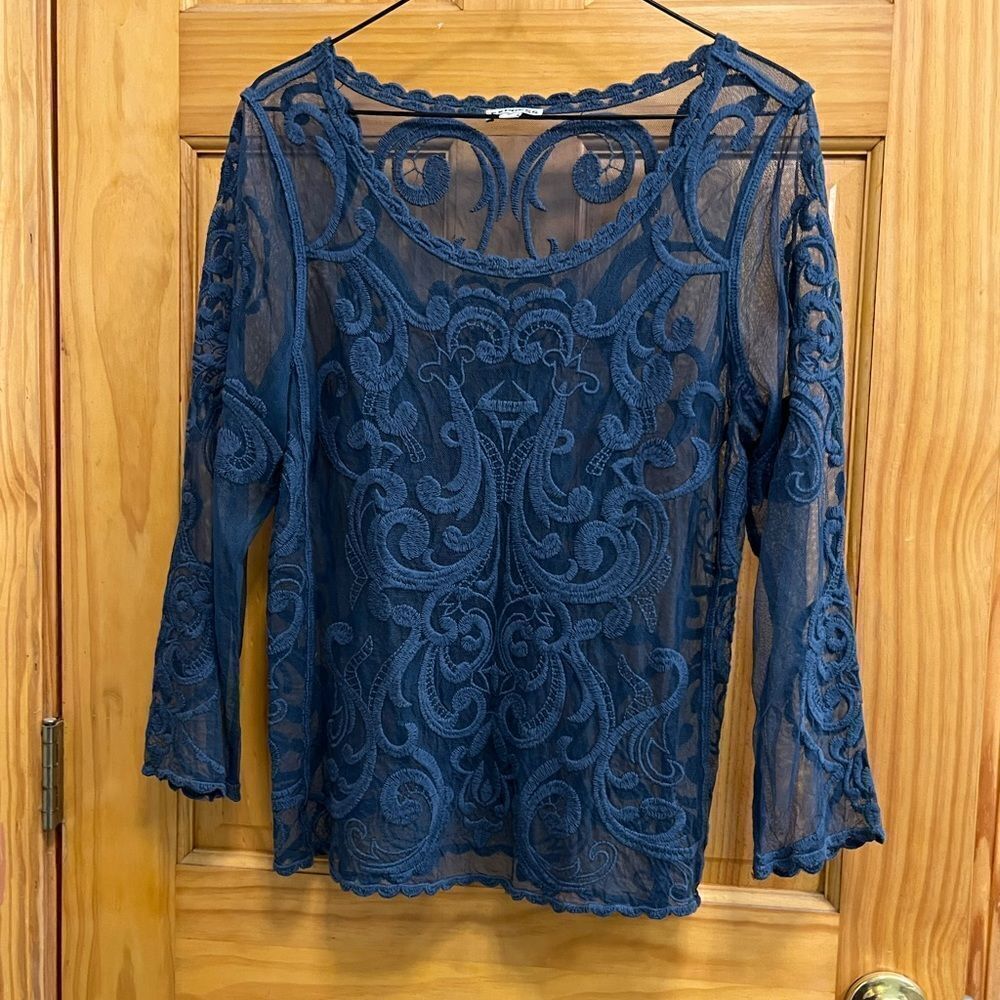 Express size Med. blue sheer embroidered blouse - Picture 4 of 6
